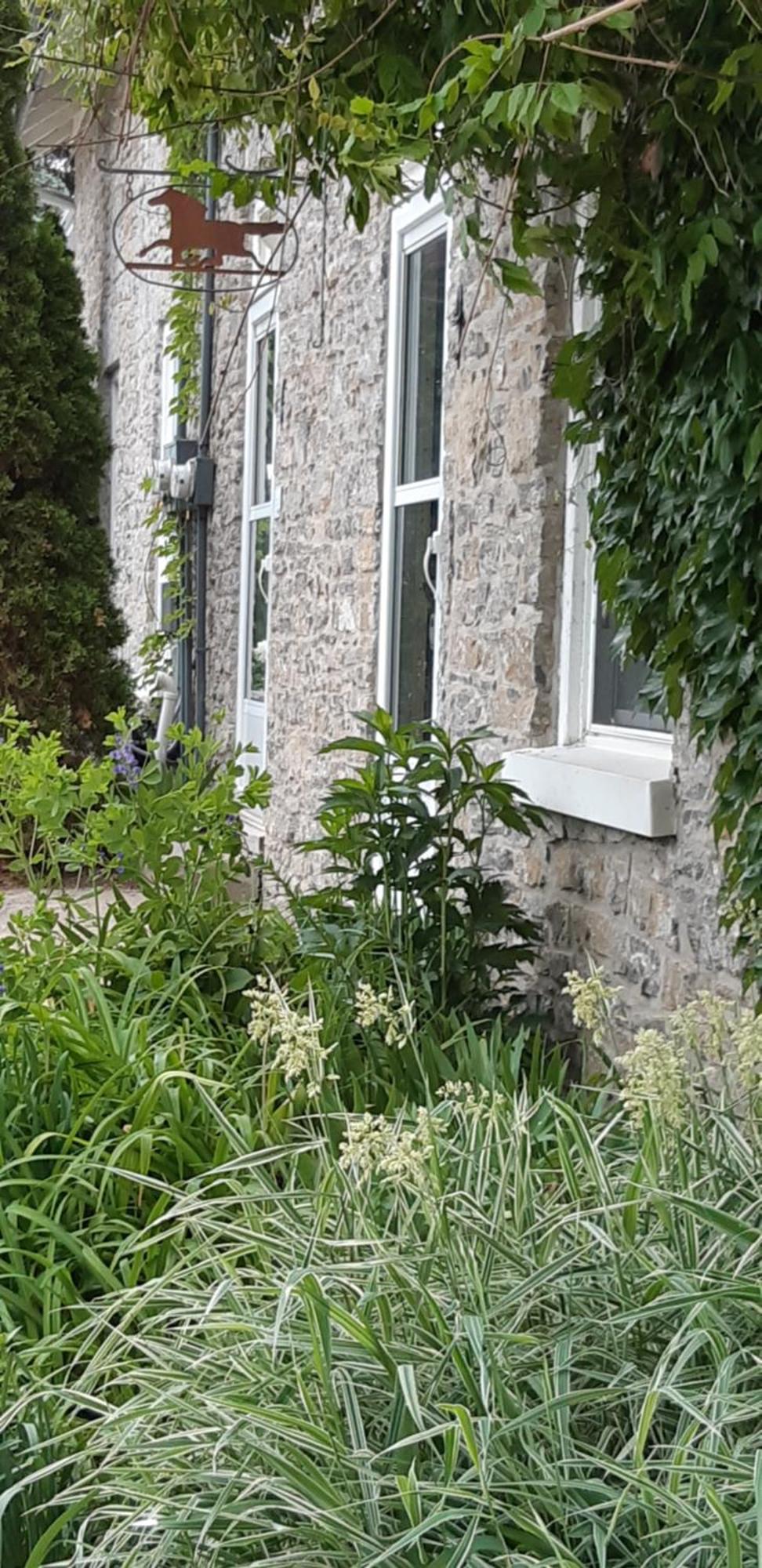 Stone Carriage House Villa Picton Exteriör bild